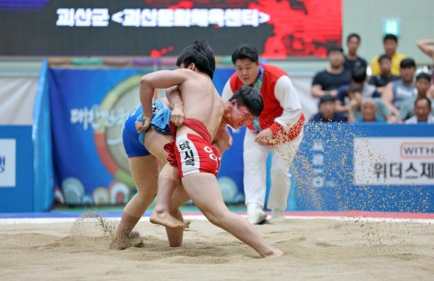 괴산유기농배 전국장사씨름대회.&#40;괴산군 제공&#41;/뉴스1