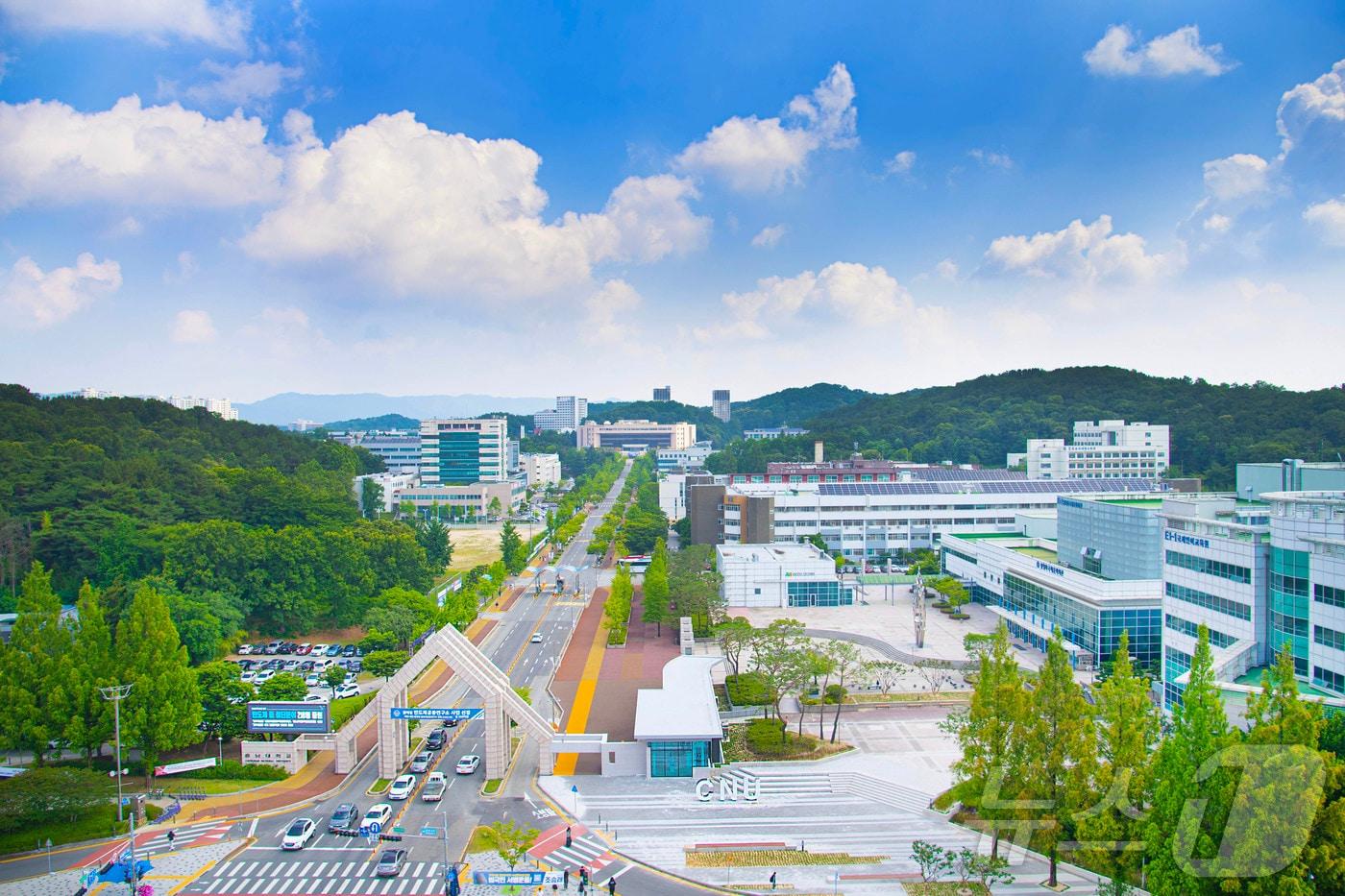 충남대 전경. /뉴스1  