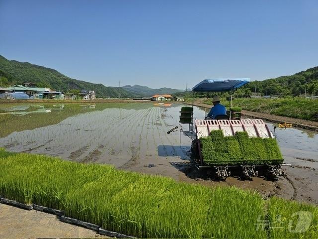 보은군 농작업 대행 서비스 장면 &#40;보은군 제공&#41; /뉴스1 