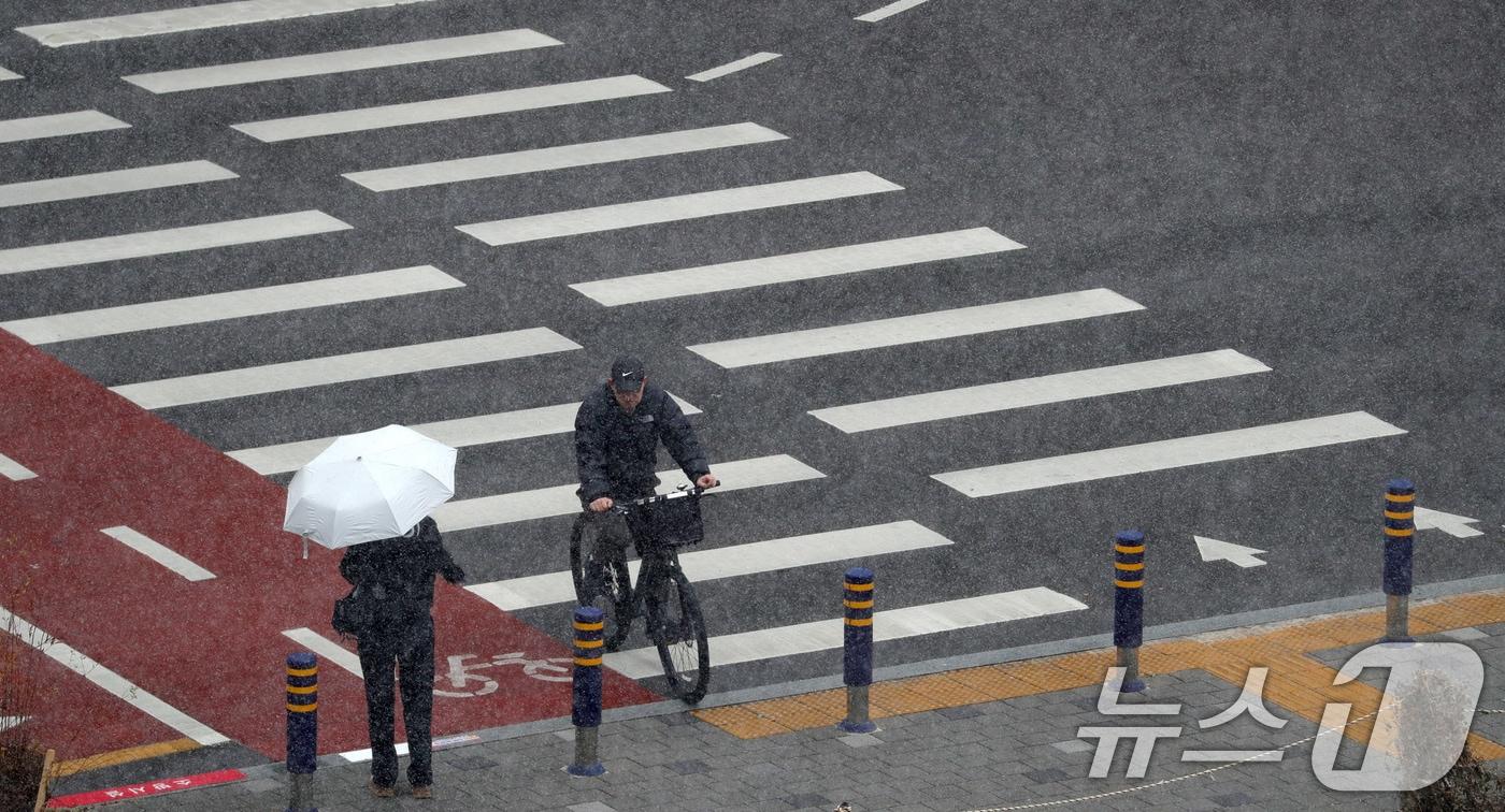 13일 전북자치도 완주군 삼봉로 일원에 눈이 내리고 있다. 2024.12.13/뉴스1 ⓒ News1 유경석 기자