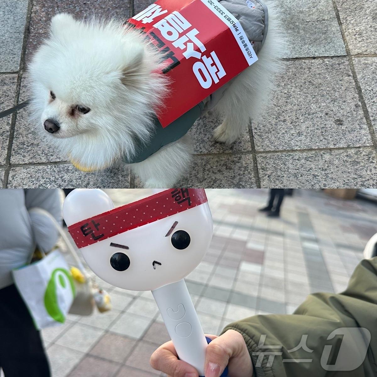 14일 울산 남구 롯데백화점 광장에는 윤석열대통령의 탄핵을 촉구하는 촛불집회가 열렸다.2024.12.14/뉴스1 ⓒNews1 김지혜 기자