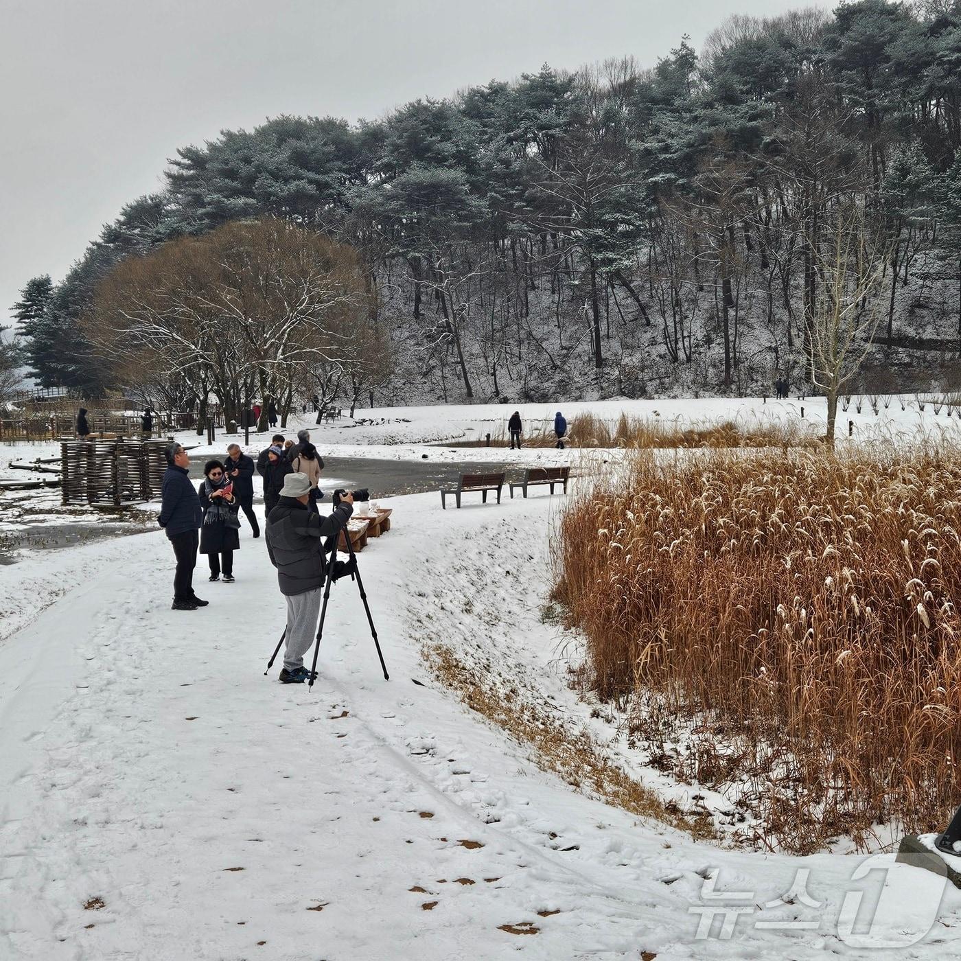 15일 오후 청주 상당산성 자연마당에서 시민들이 산책로를 걷고 있다.2024.12.15/뉴스1 이재규 기자 