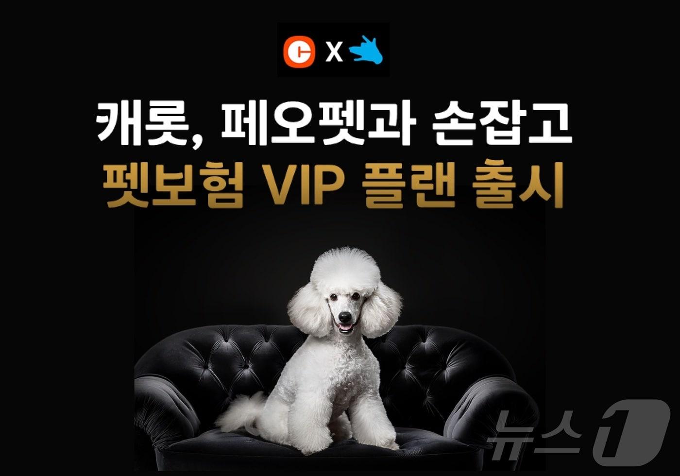 캐롯, 페오펫과 손잡고 펫보험 VIP 플랜 출시/사진제공=캐롯