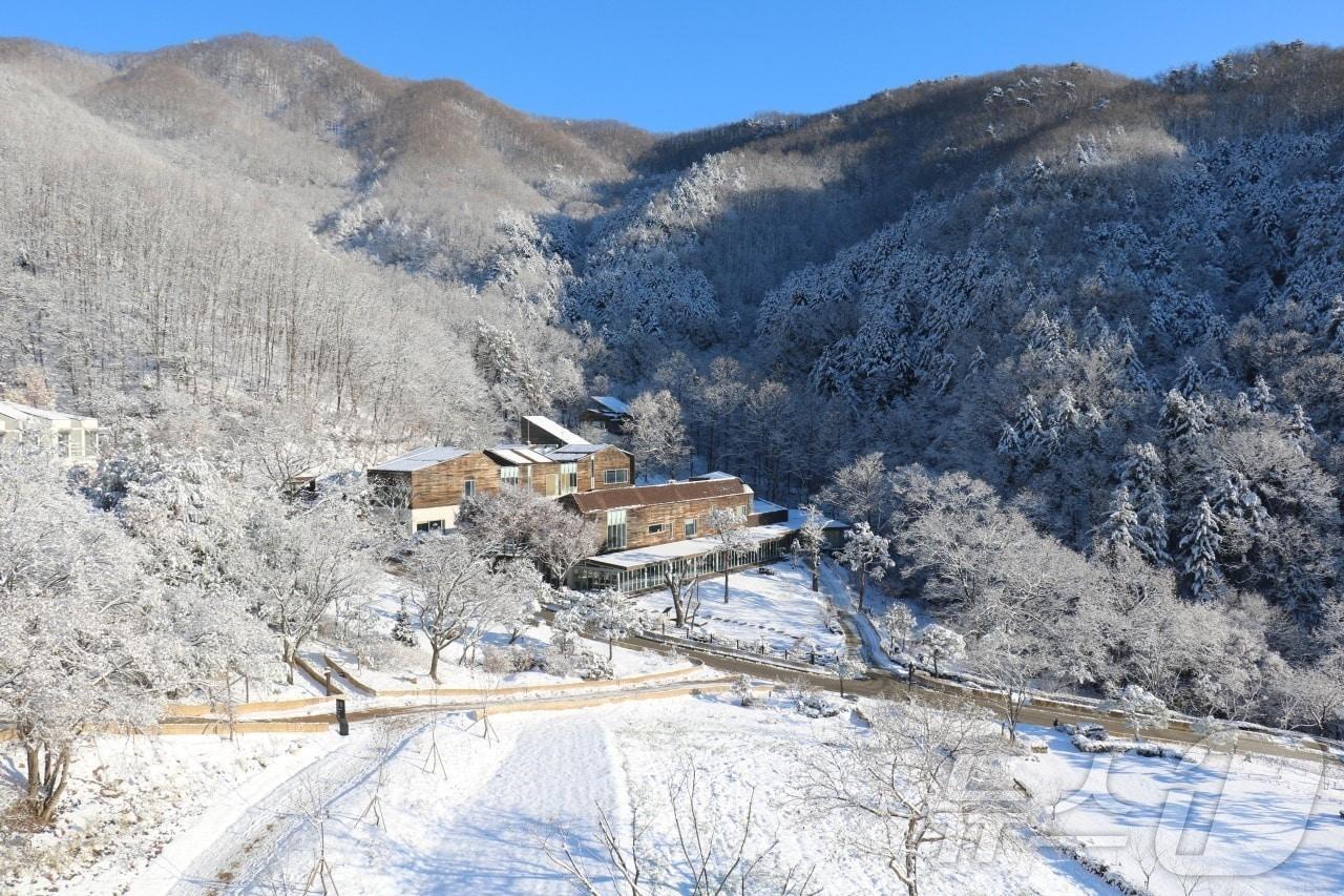 홍천 선마을 겨울 전경.&#40;선마을 제공&#41;/뉴스1