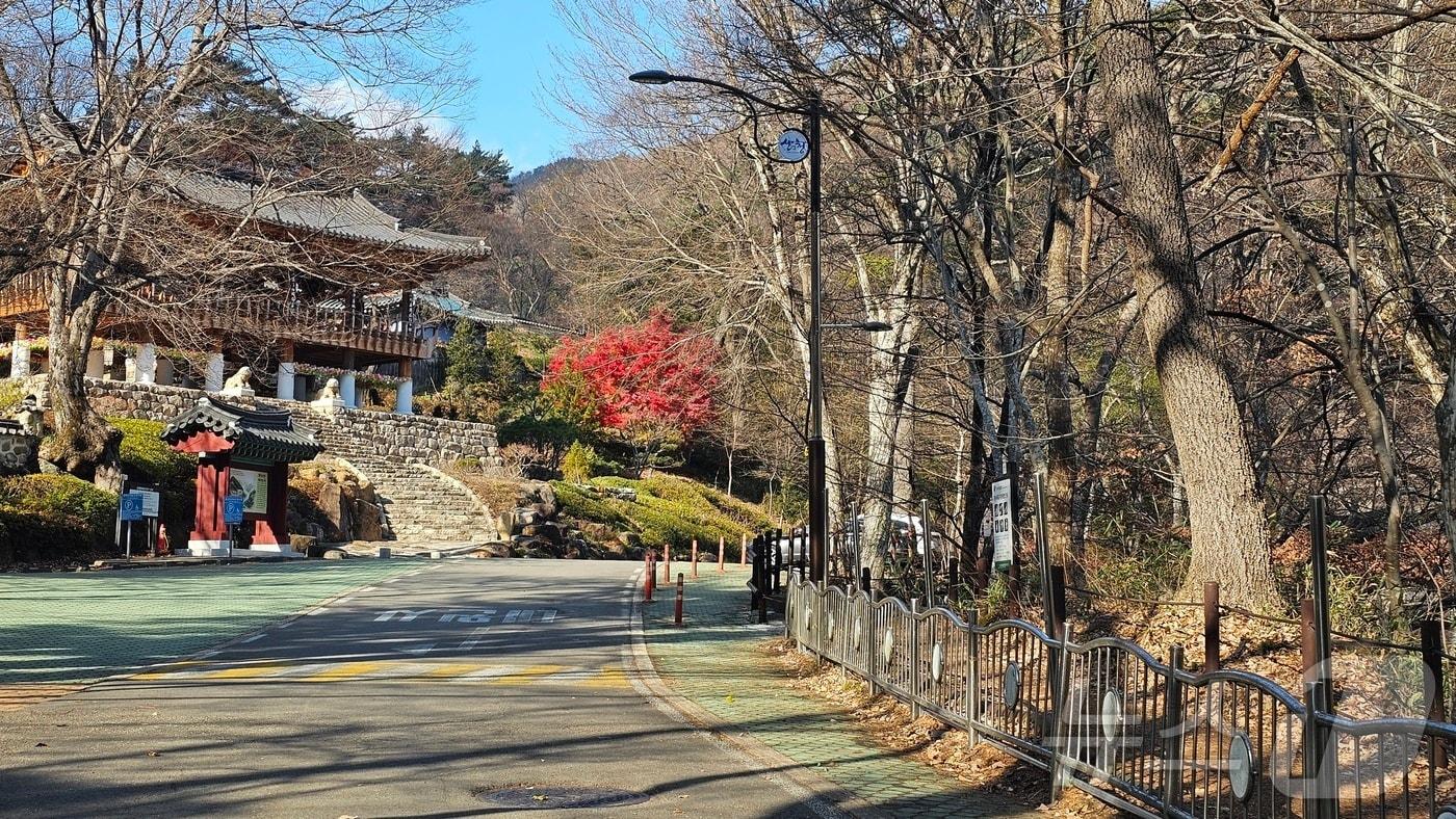 산청 대원사 계곡길&#40;산청군 제공&#41;.