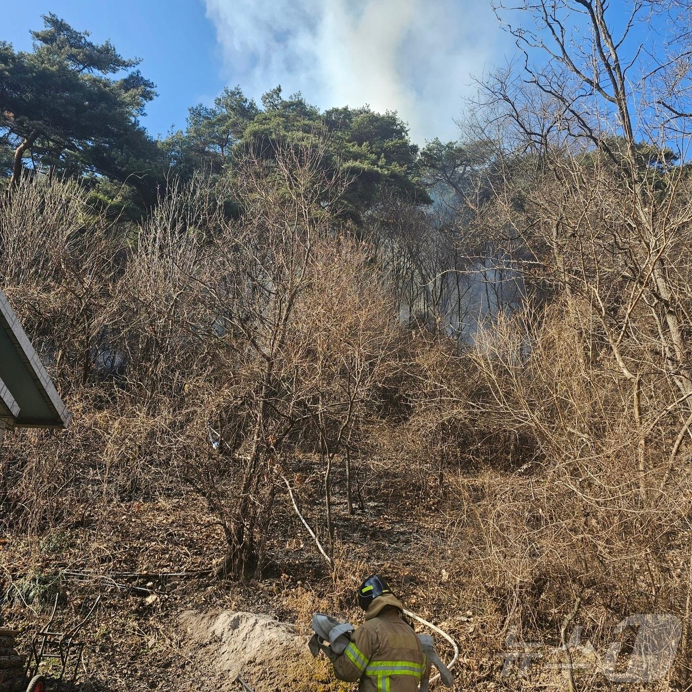  괴산 산불 현장&#40;산림청 제공&#41;.2024.12.19/뉴스1