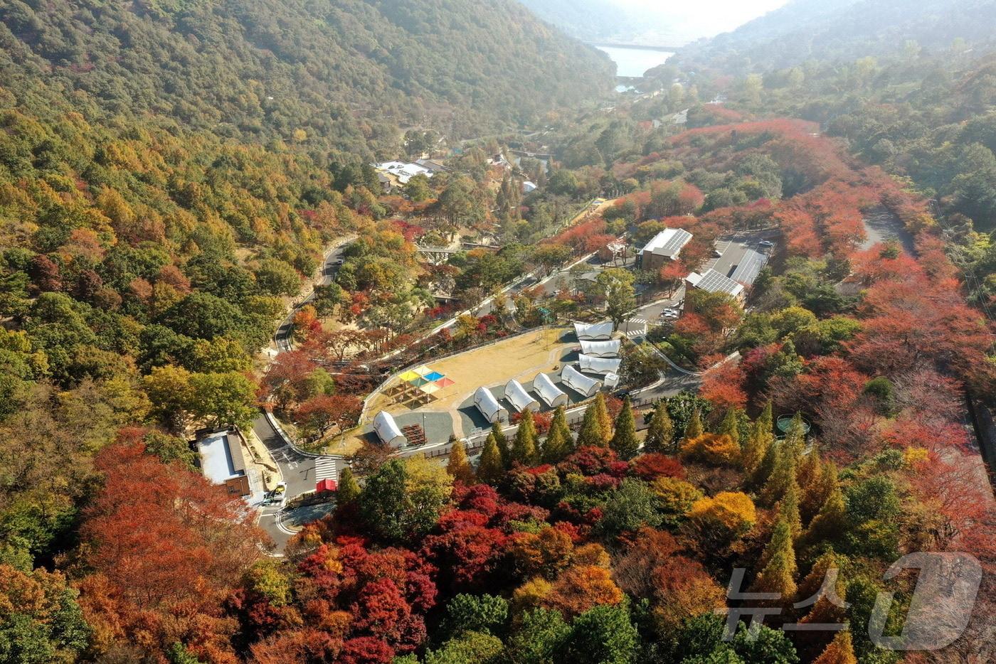 월아산 숲속의 진주&#40;진주시 제공&#41;.