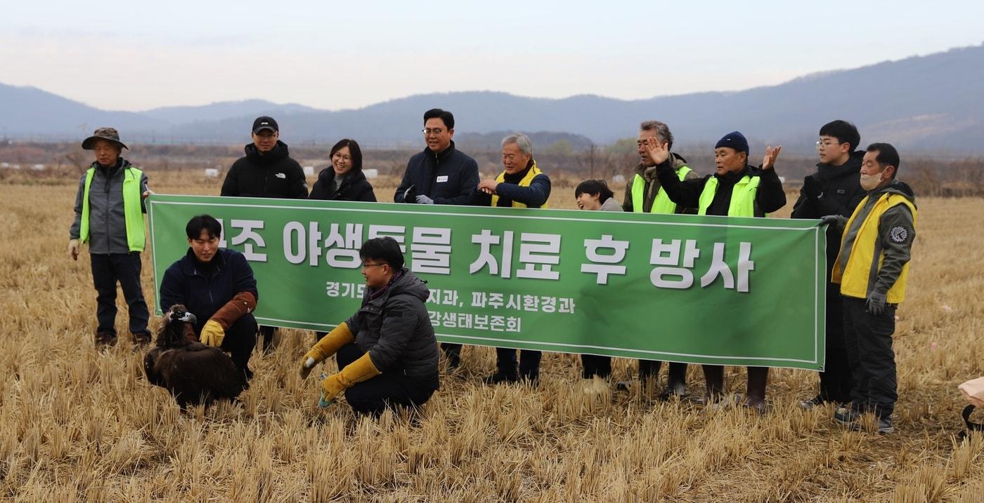 올해 5월 연천군에서 탈진한 상태로 구조된 천연기념물 독수리가 지난 11월 30일 파주 &#39;독수리식당&#40;Vulture Restaurant&#41;&#39; 개장 행사에 맞춰 건강을 회복해 자연으로 복귀했다. &#40;경기도 제공&#41; ⓒ 뉴스1