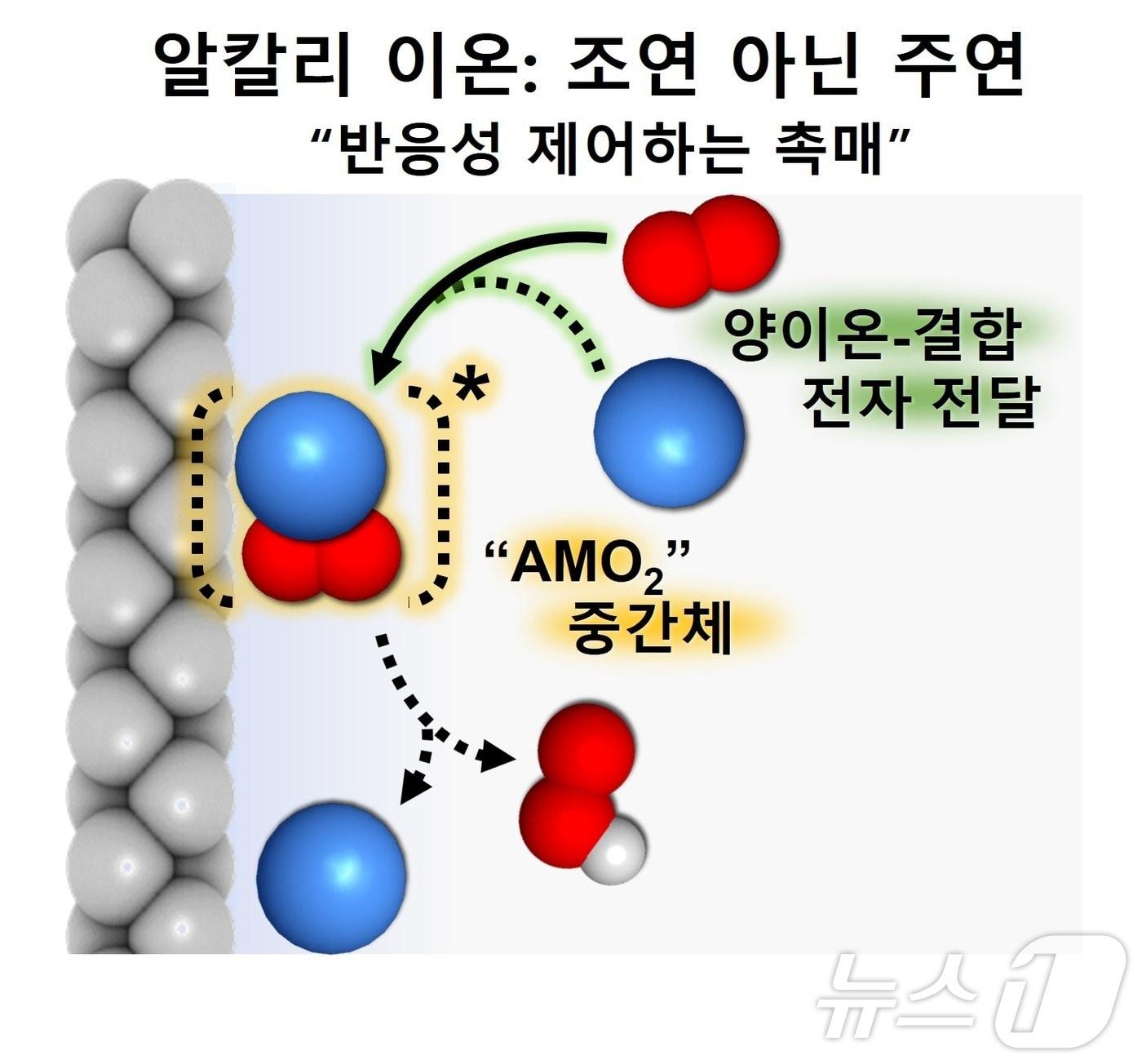 알칼리 금속 이온에 의한 반응 제어 메커니즘을 나타낸 모식도. &#40;포스텍 제공&#41;/뉴스1