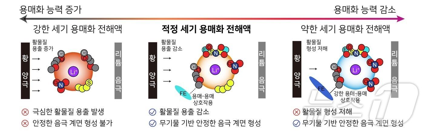 전해액 설계 원리. &#40;KAIST 제공&#41;/뉴스1