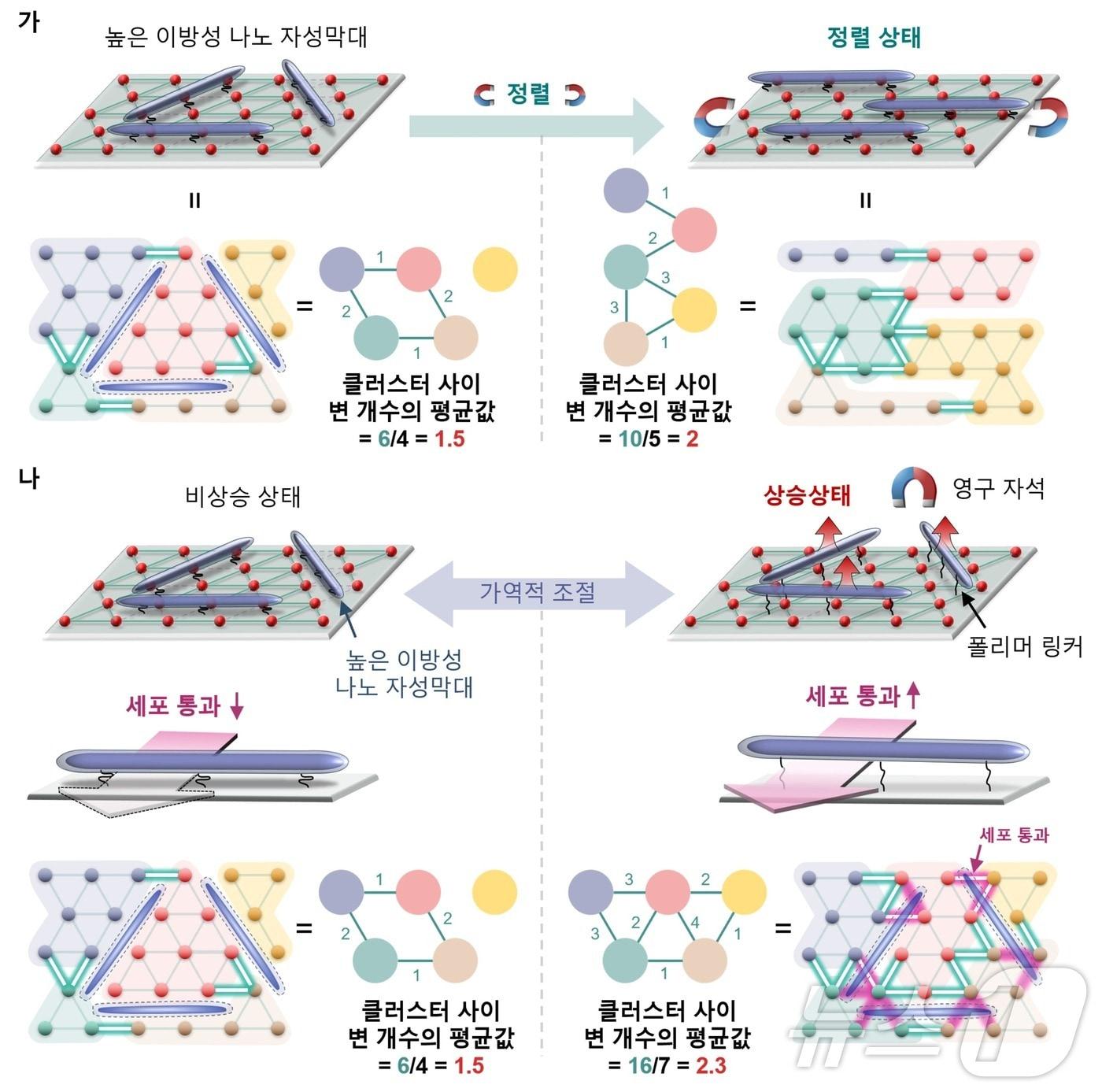 가역적 자성 조절을 이용한 그래프 이론 기반 리간드 네트워크 모델의 모식도.&#40;고려대 제공&#41;/뉴스1