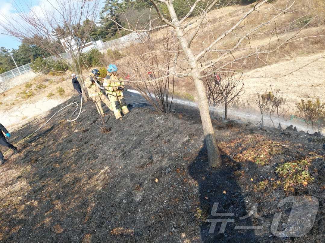 강원 강릉 주문진읍 향호리 야산 산불 현장.&#40;강원도소방본부 제공&#41;