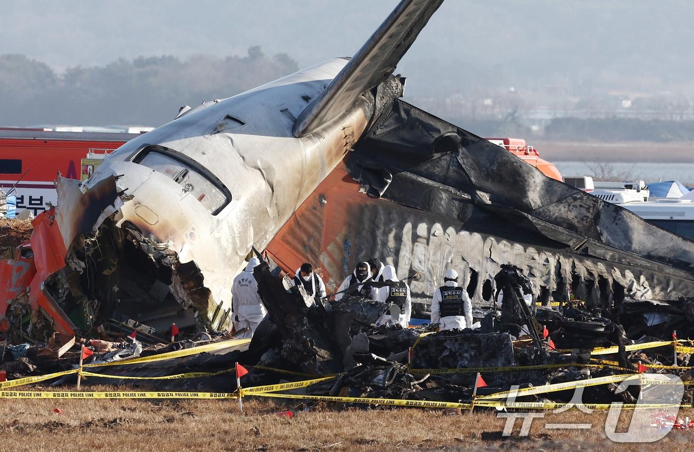 31일 오전 전남 무안국제공항 제주항공 여객기 참사 현장에서 과학수사 경찰들이 현장 감식을 하고 있다. 2024.12.31/뉴스1 ⓒ News1 김민지 기자