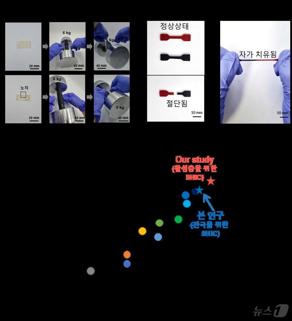 자가치유 센서소재의 높은 기계적 물성과 자가 치유 능력.&#40;서울대 제공&#41;/뉴스1
