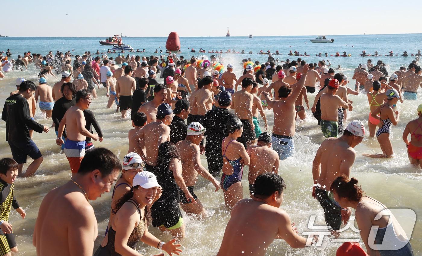 8일 부산 해운대해수욕장에서 열린 제37회 해운대 북극곰축제에서 참가자들이 차가운 겨울 바다에 뛰어들고 있다. 2024.12.8/뉴스1 ⓒ News1 윤일지 기자