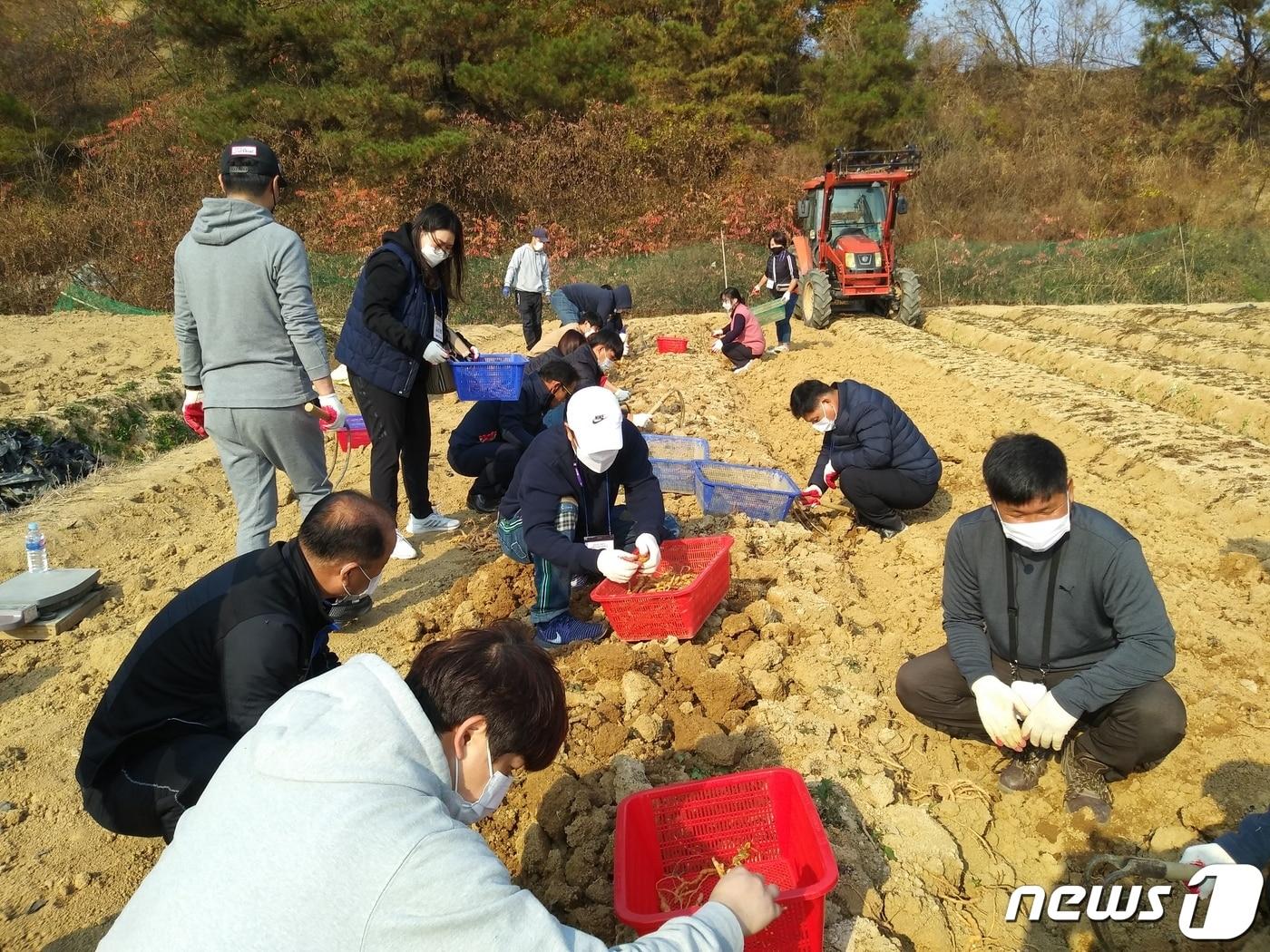  정읍시가 안정적인 정착지원을 위해 귀농 농업창업 자금과 주택구입 자금을 지원한다. 귀농인들이 밭에서 작업을 하고 있다.&#40;정읍시 제공&#41;2024.2.14/뉴스1