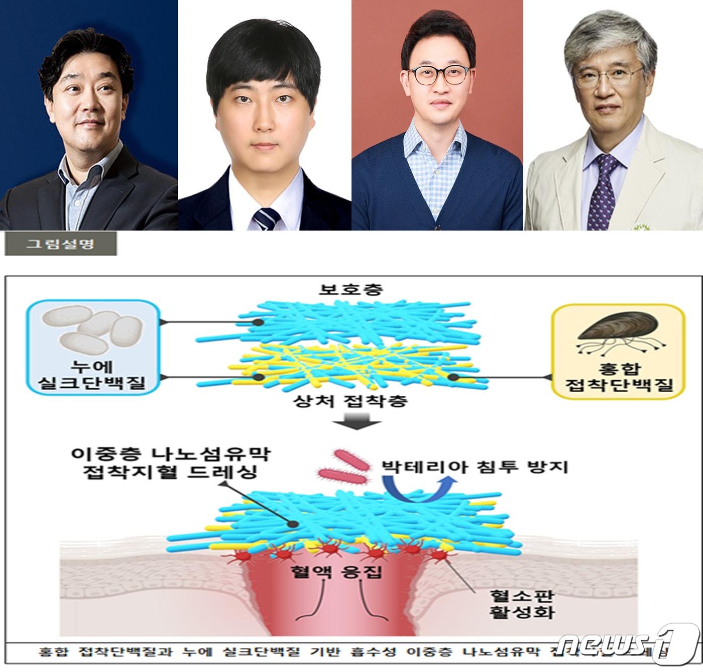 15일 포스텍&#40;포항공대&#41;, 이화여대, 가돌릭의대, 서울성모병원 공동연구팀이 홍합과 누에고치에서 나온 천연단백질을 사용해 이중층 나노 섬유막 지혈제 개발에 성공했다고 밝혔다. 왼쪽부터 포스텍 차형준 교수, 포스텍 이재윤 박사, 주계일 이화여대 교수,이종원 가톨릭의대 교수, &#40;포스텍제공&#41;2024.2.15/뉴스1 최창호 기자  