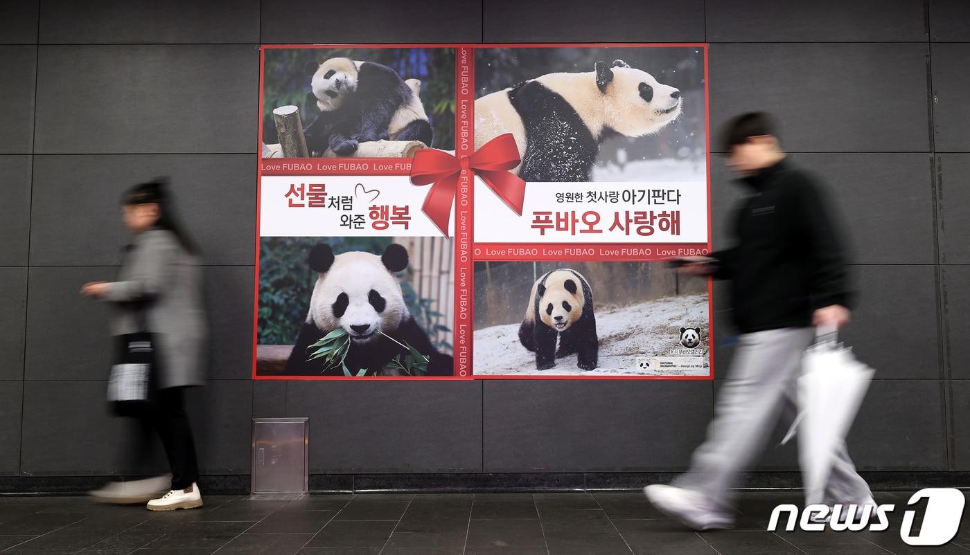 15일 서울 홍대입구역 공항철도 경의선 방향 통로에 푸바오 사진과 함께 &#34;선물처럼 와준 행복, 영원한 첫사랑 아기판다 푸바오 사랑해＂라는 문구가 적혀 있다.2024.2.15/뉴스1 ⓒ News1 박지혜 기자