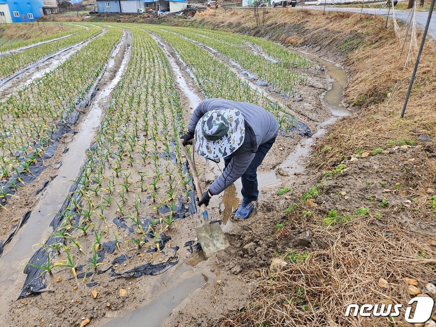 한 농민이 농지 배수로를 정비하고 있다. &#40;서천군 제공&#41;/뉴스1 