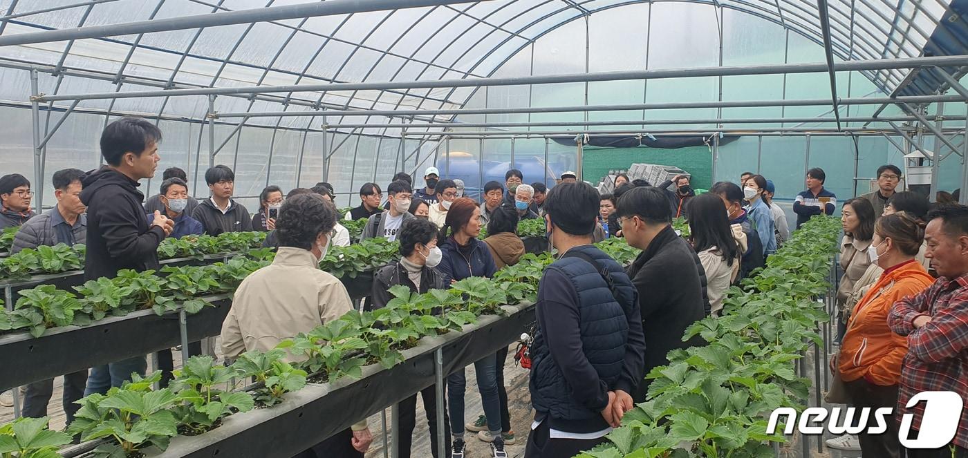 지난해 딸기 6차산업대학 교육생들이 현장 육묘 교육을 받고 있다. &#40;밀양시 제공&#41;