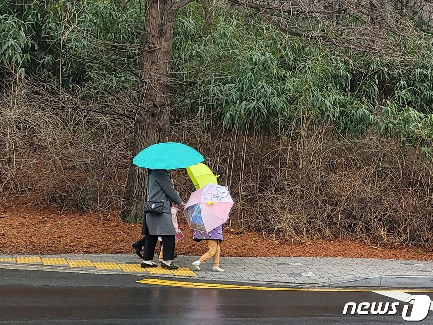 20일 오후 경북 포항시 전역에 봄비가 내리고 있는 가운데 우산을 쓴 한 가족이 남구 지곡동 도로를 걸어가고 있다. 2024.2.20/뉴스1 ⓒ News1 최창호 기자