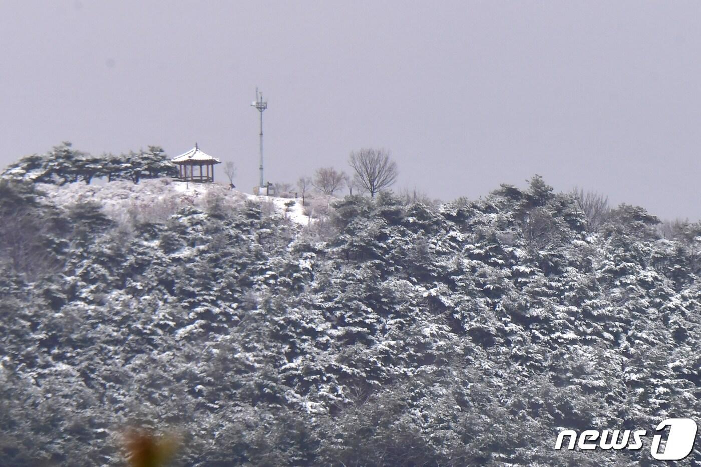 지난 22일 오전 경북 영덕군 산간 지역에 많은 눈이 내려 주변이 온통 하얗게 변해있다.2024.2.22/뉴스1 ⓒ News1 최창호 기자