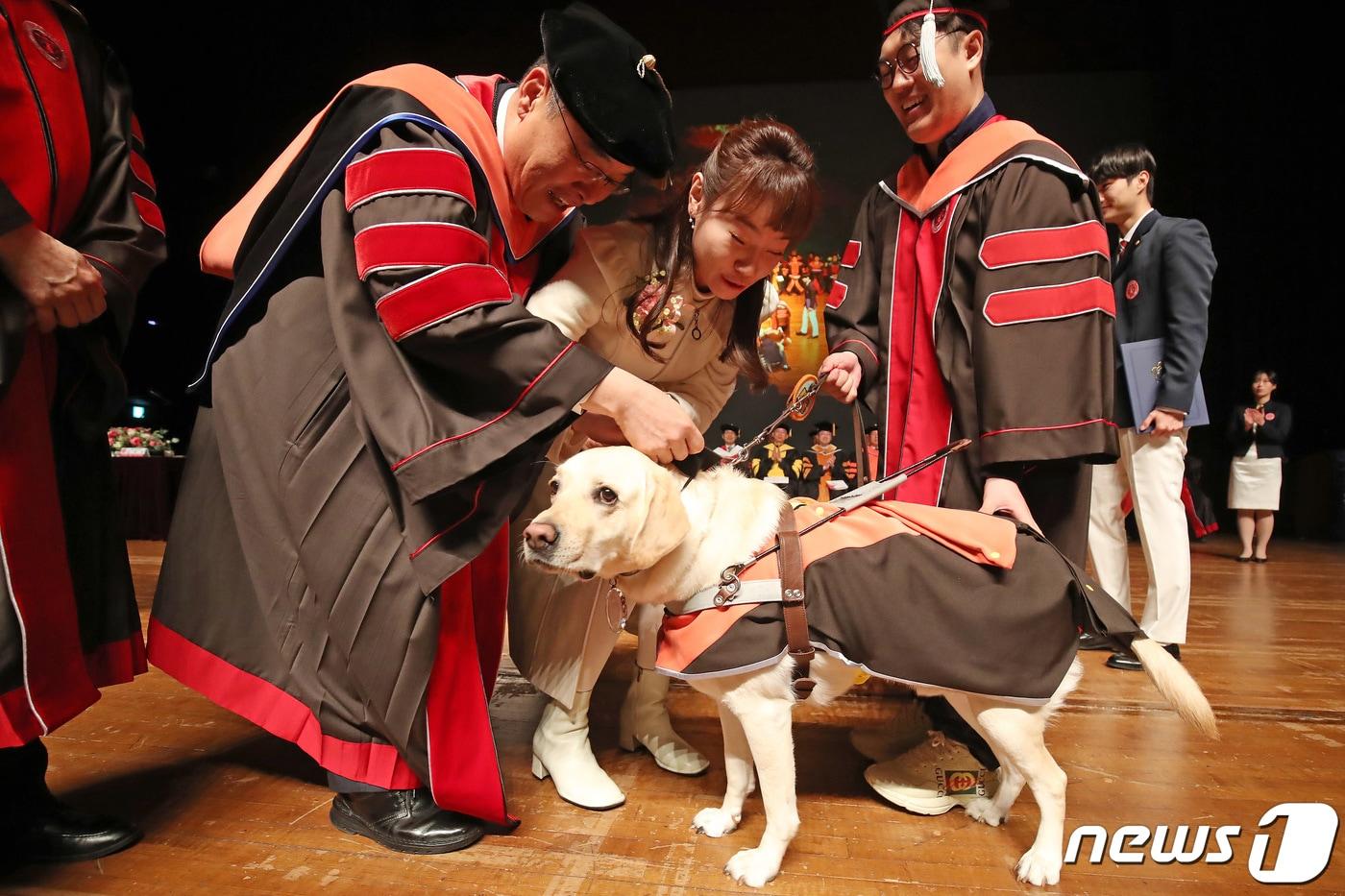 23일 오전 대구 북구 경북대학교에서 열린 2024년 2월 학위수여식에서 홍원화 경북대 총장과 첫 여성 시각장애인 국회의원인 김예지 의원이 문헌정보학 석사 김경훈 씨의 안내견 래브라도 리트리버 &#39;탱고&#39; 목에 명예졸업증 메달을 걸어주고 있다. 시각장애인인 김씨는 학부 시절 안내견 없이 학교에 다니다가 2022년 삼성화재안내견학교를 통해 탱고와 인연을 맺었고, 지난 2년간 탱고는 김 씨 곁에서 한 몸처럼 동행하며 학업과 일상을 도왔다. 2024.2.23/뉴스1 ⓒ News1 공정식 기자