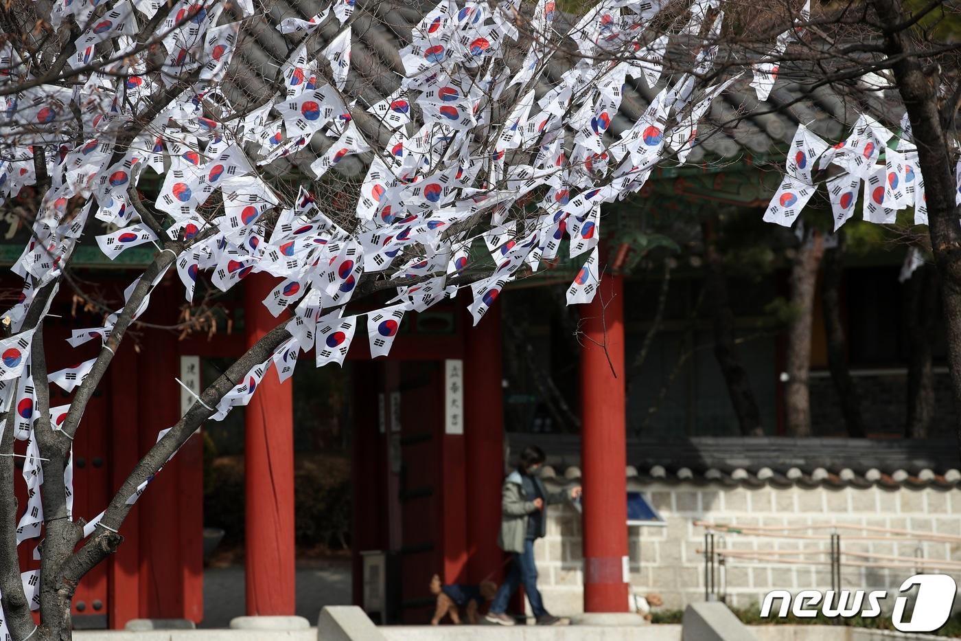 105주년 3.1절을 사흘 앞둔 27일 서울 용산구 효창공원 태극기 거리에 태극기가 나무 등에 걸려있다. 용산구는 제105주년 삼일절을 기념해 오는 3일까지 효창공원 일대에 태극기 거리를 마련한다. 2024.2.27/뉴스1 ⓒ News1 이승배 기자