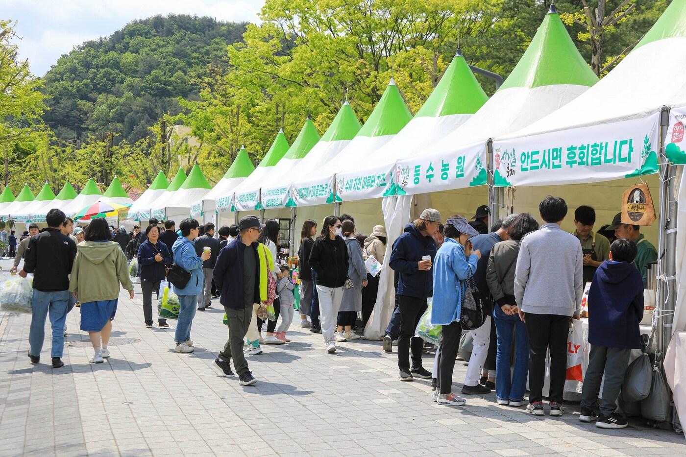 양평 용문산 산나물 축제&#40;양평군 제공&#41;/뉴스1