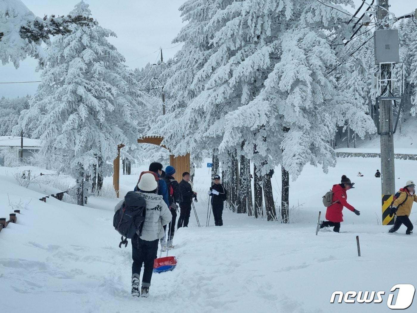 강원 산지와 동해안을 중심으로 폭설이 내린 6일 설국으로 변한 평창군 대관령 일대에 눈꽃 산행을 온 등산객으로 붐비고 있다. 2024.2.6/뉴스1 ⓒ News1 윤왕근 기자