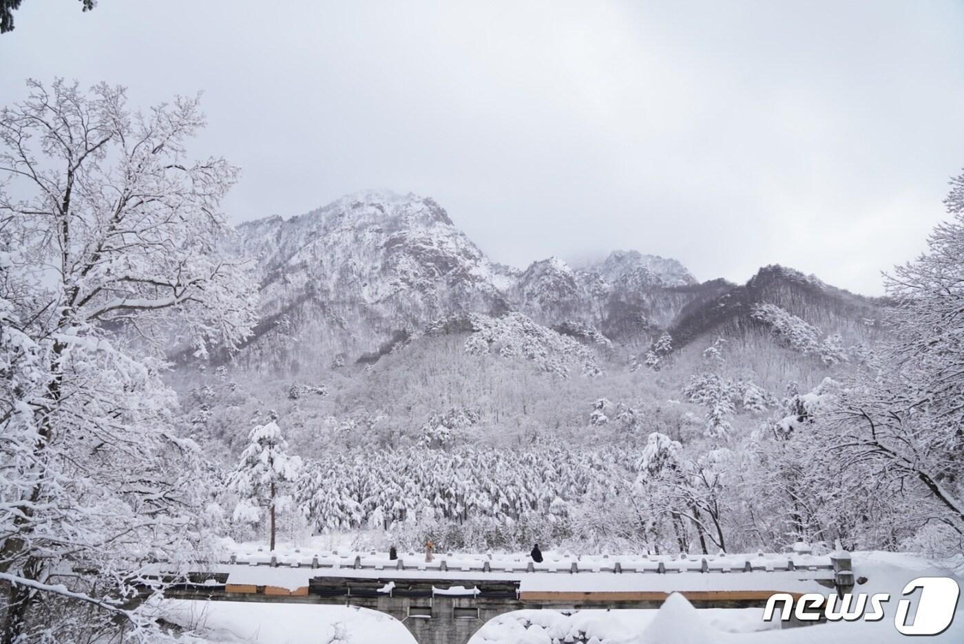 폭설 내린 설악산.&#40;자료사진&#41;ⓒ News1