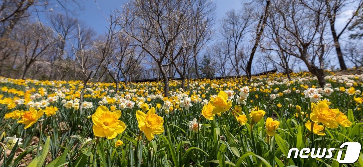 화담숲 전경 &#40;화담숲 제공&#41;