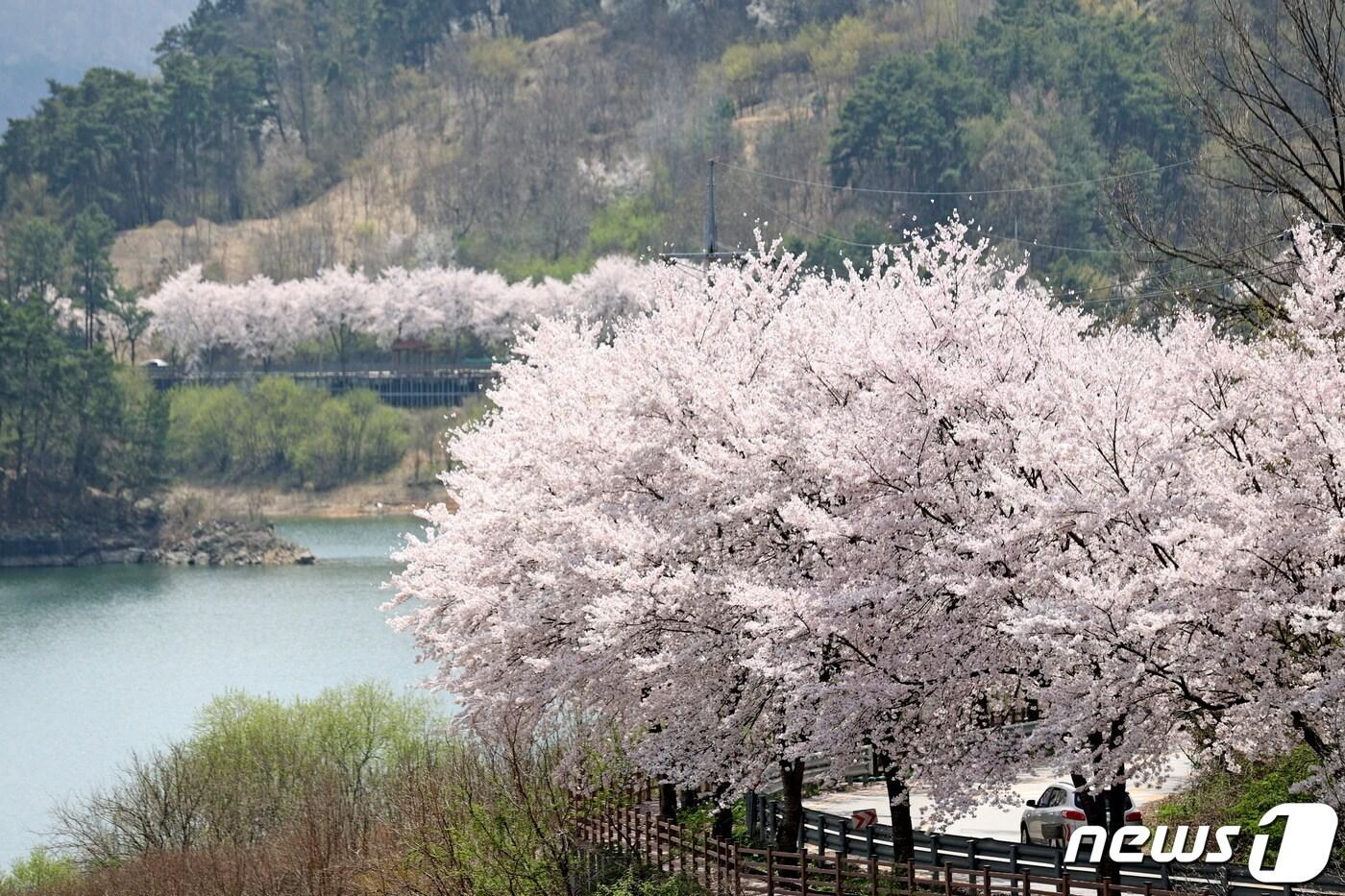 전북자치도 임실군이32억원의 예산을 투입해 도시숲, 학교숲, 가로수 조성, 계절꽃 식재, 임실천 경관개선 사업 등을 추진한다.&#40;임실군제공&#41;2024.3.11/뉴스1