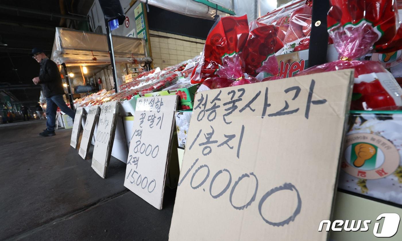 서울 송파구 가락농수산물도매시장에 사과가 진열돼 있다. 2024.3.12/뉴스1 ⓒ News1 김민지 기자