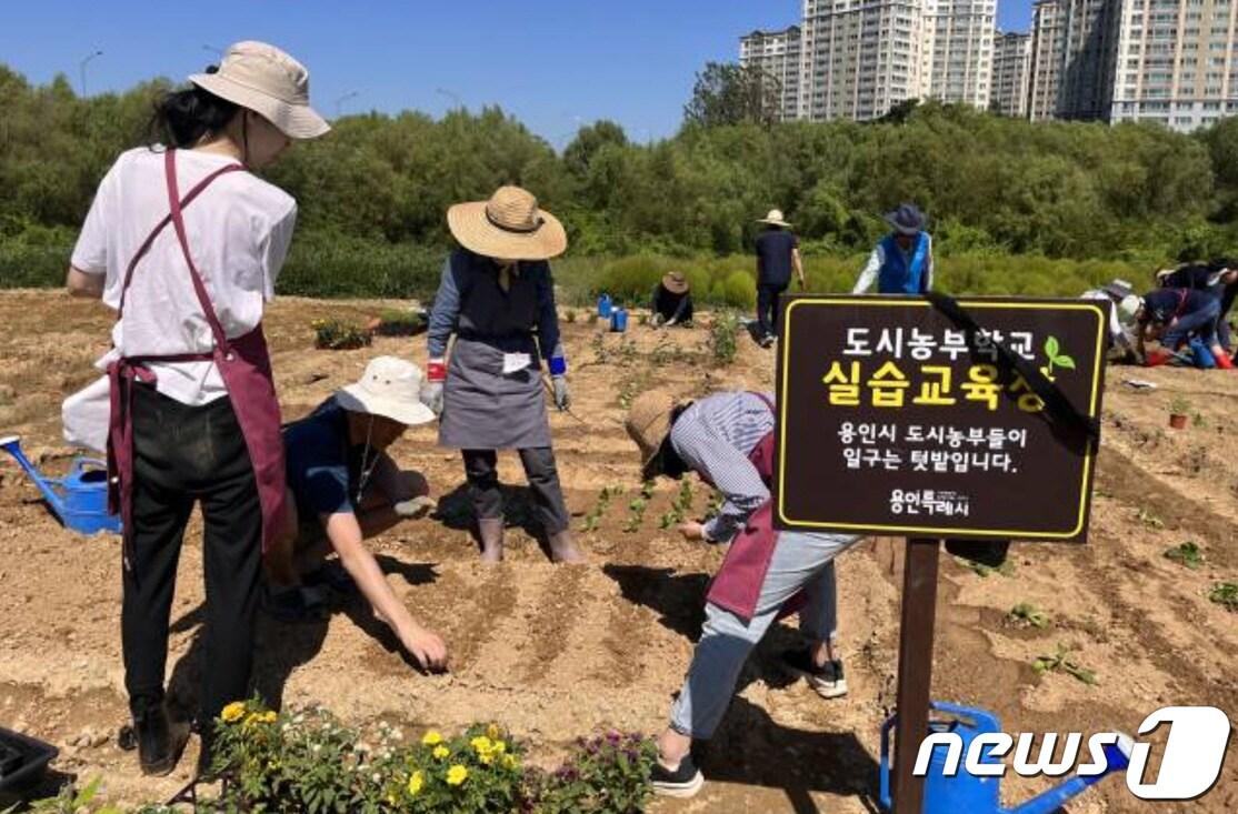 지난해 용인시가 운영한 도시농부학교 텃밭교육에 참가한 시민들 모습.&#40;용인시 제공&#41;