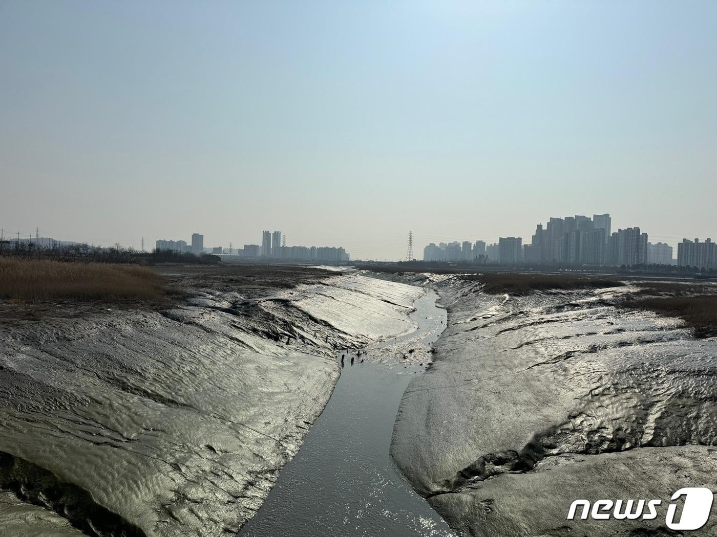 인천시 남동구 소래습지 생태공원.2024.3.13 ⓒ News1 박소영 기자