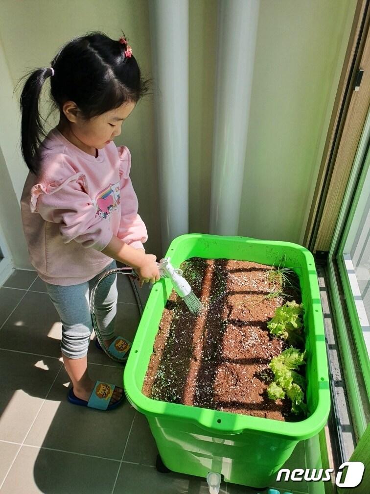 상자텃밭에 물을 주는 어린이.&#40;강남구청 제공&#41;