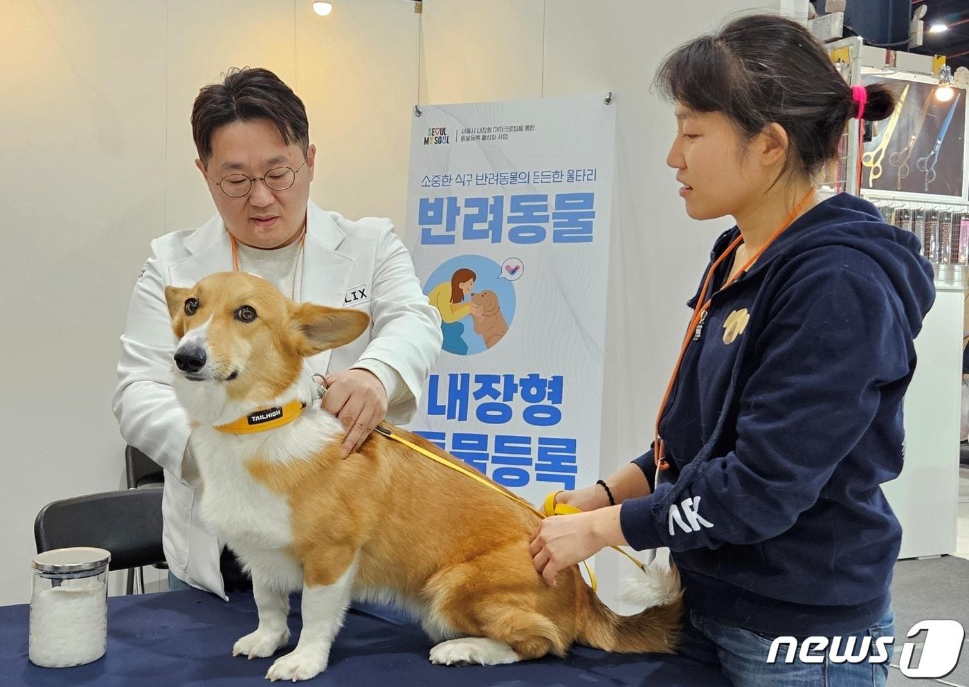 임희수 서울시수의사회 이사가 15일 서울 강남구 세텍에서 열린 케이펫페어에서 동물단체가 보호하고 있는 강아지의 내장칩을 확인하고 있다. ⓒ 뉴스1 최서윤 기자