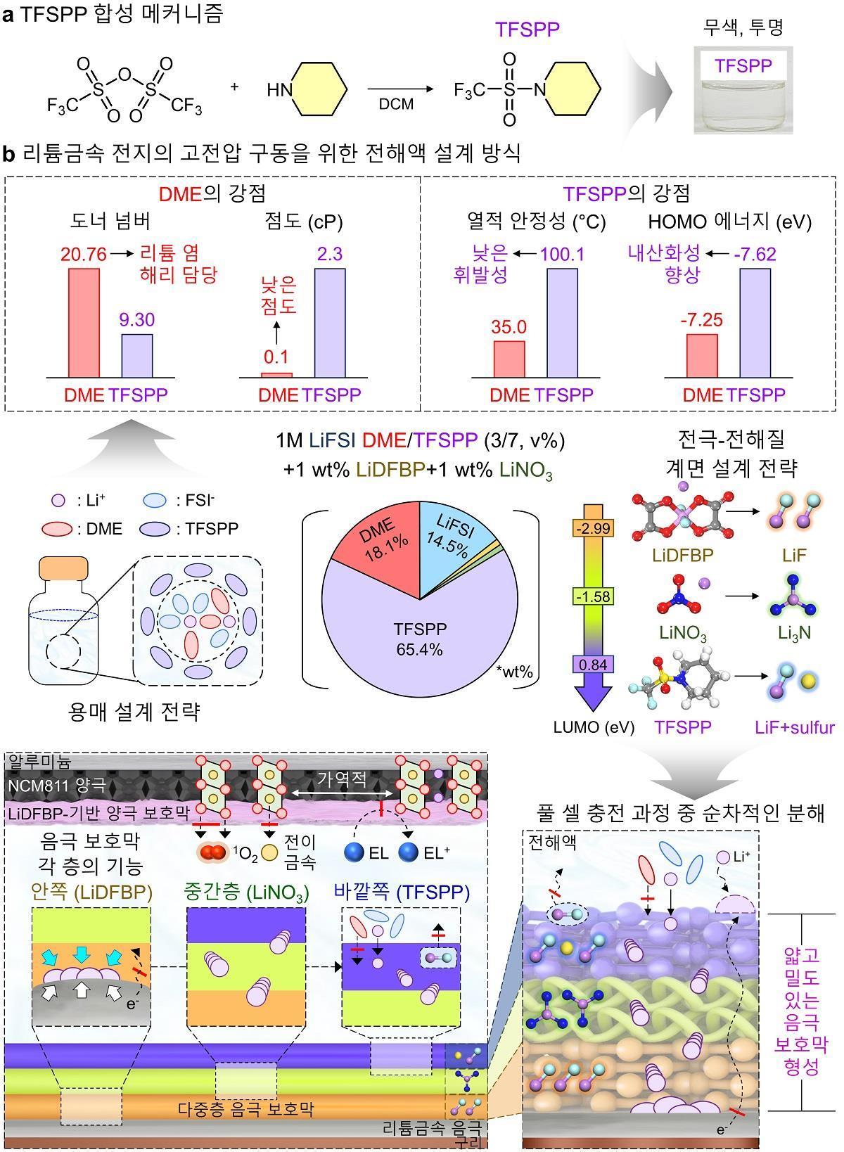 연구 모식도.&#40;KAIST 제공&#41;/뉴스1