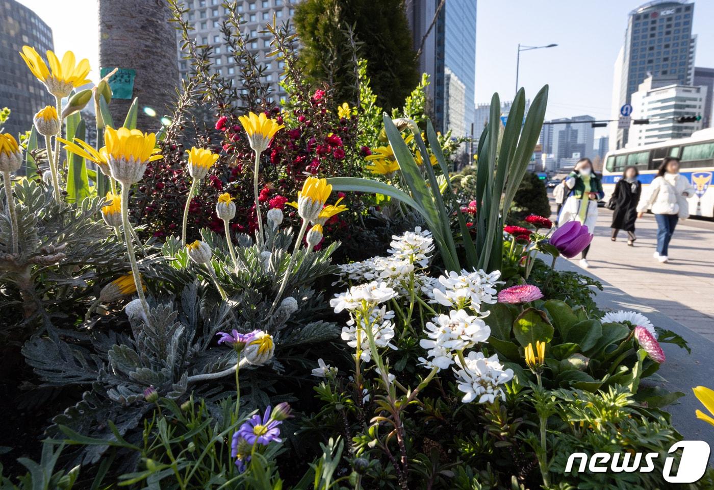 절기상 춘분인 지난 20일 오전 서울 중구 서울광장에서 출근길 시민들이 발걸음을 재촉하고 있다. 2024.3.20/뉴스1 ⓒ News1 이재명 기자