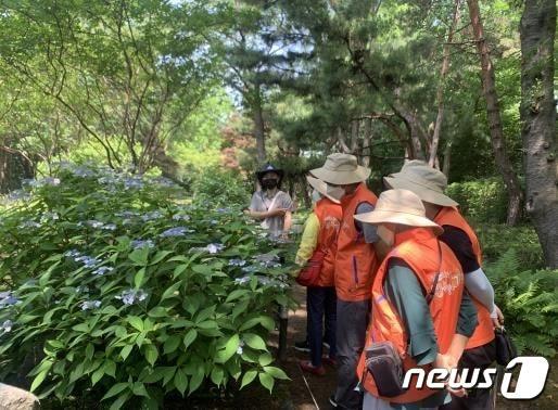 어르신이 남산야외식물원에서 설명을 듣는 모습. &#40;서울시 제공&#41;ⓒ 뉴스1