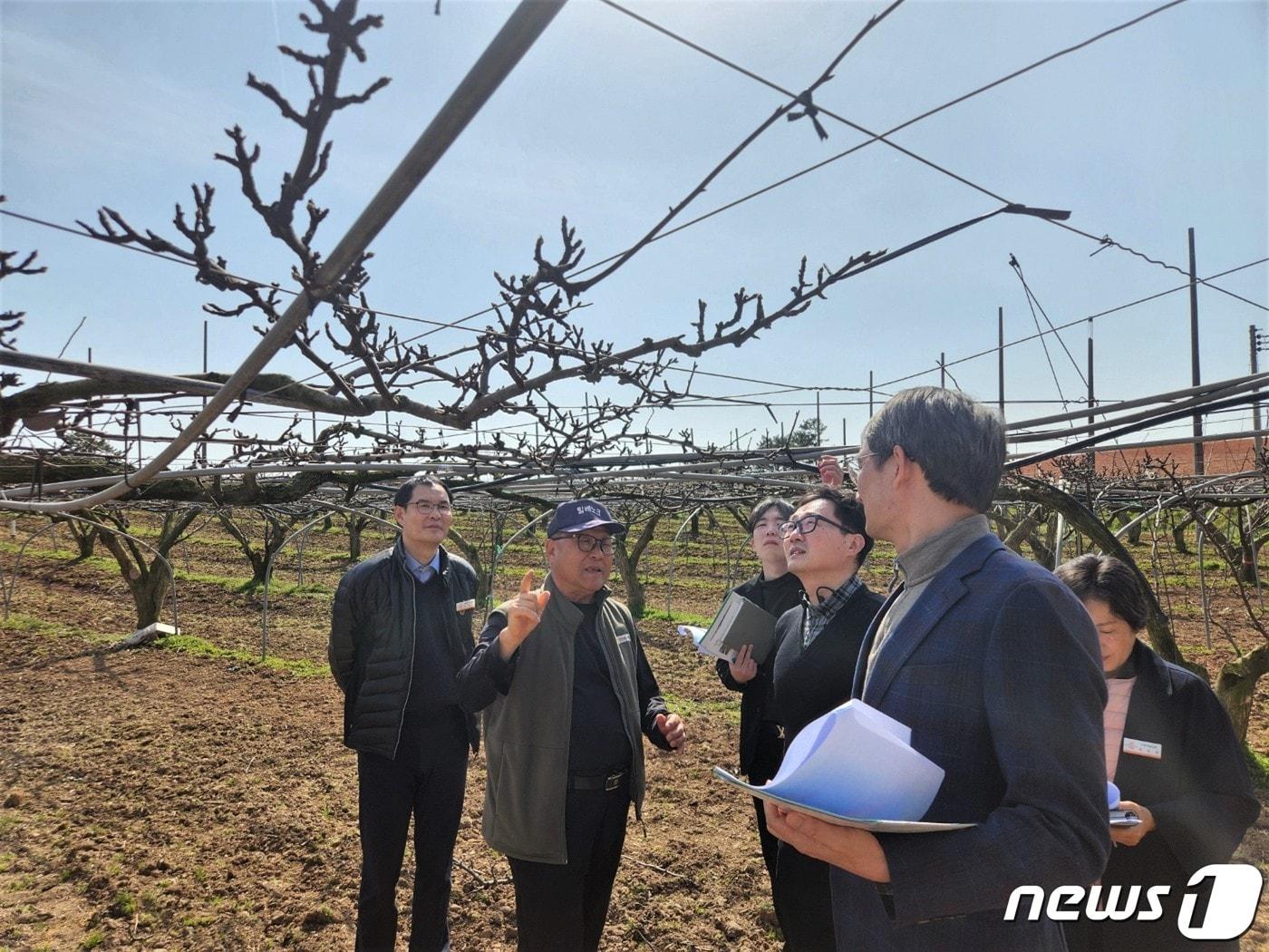 과수 저온피해 예방 농업 기술지도 모습.&#40;전남도 제공&#41; 2024.3.20/뉴스1