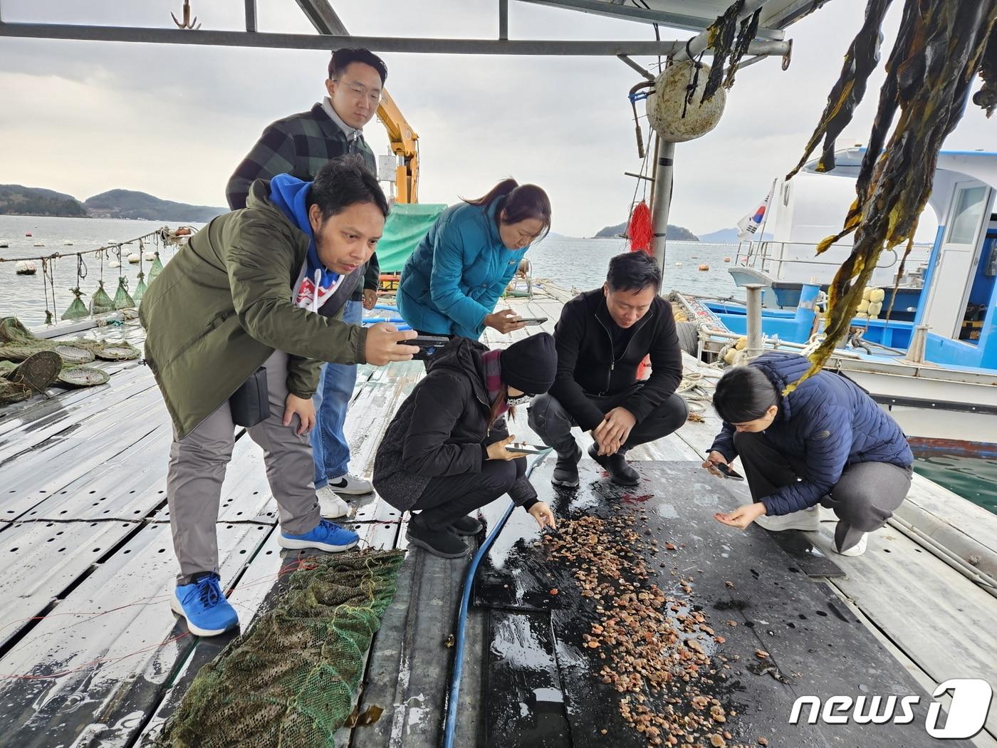 통영시와 푸드 프로젝트 관계자가 도산해역 한 가리비 양식장을 방문해 수확 과정을 살피고 있다.&#40;통영시 제공&#41;