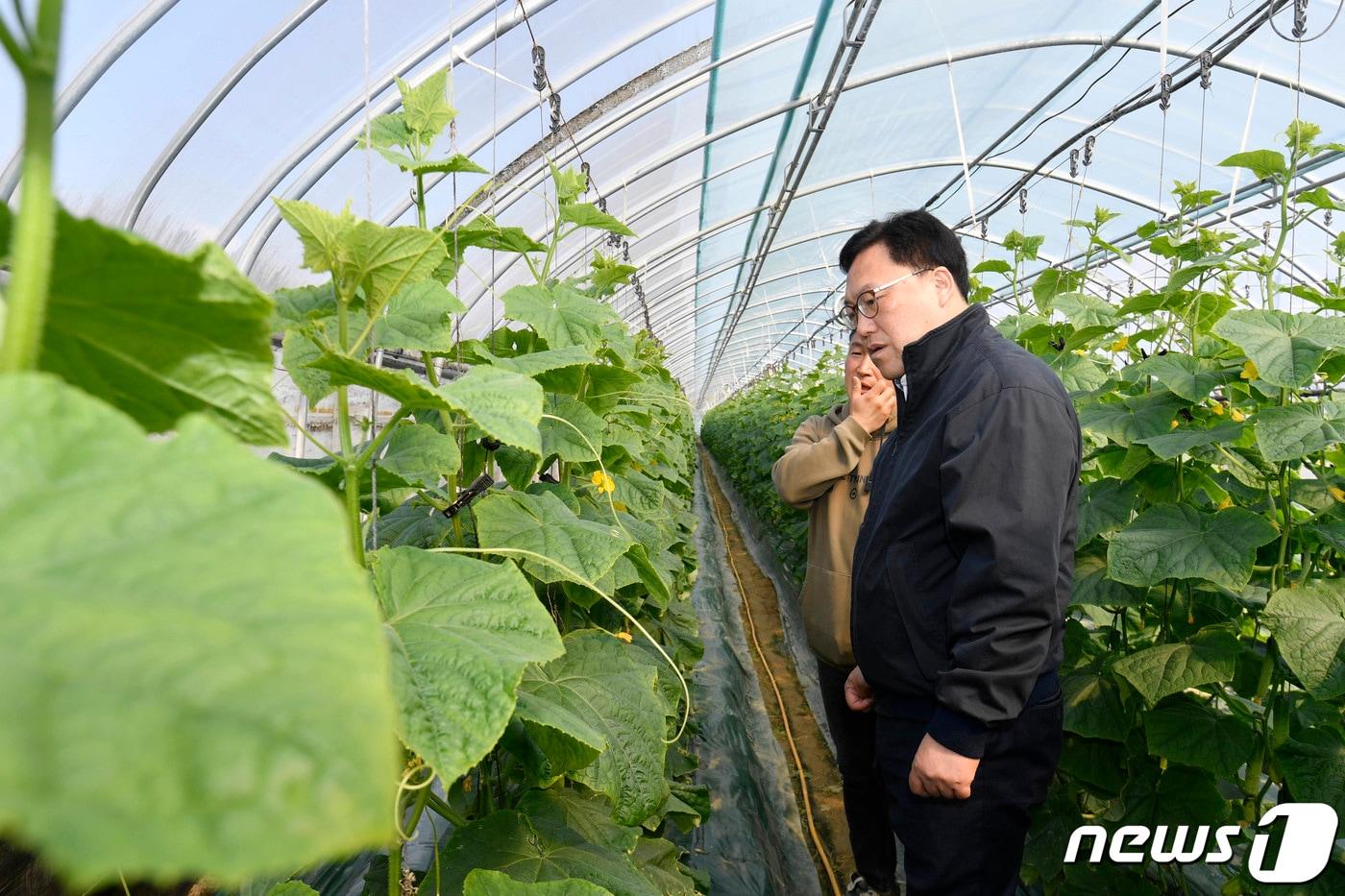 김병환 기획재정부 차관이 21일 오전 충남 천안시 한 오이 농가를 방문, 작황 및 출하동향을 점검하고 있다. &#40;기획재정부 제공&#41; 2024.3.21/뉴스1