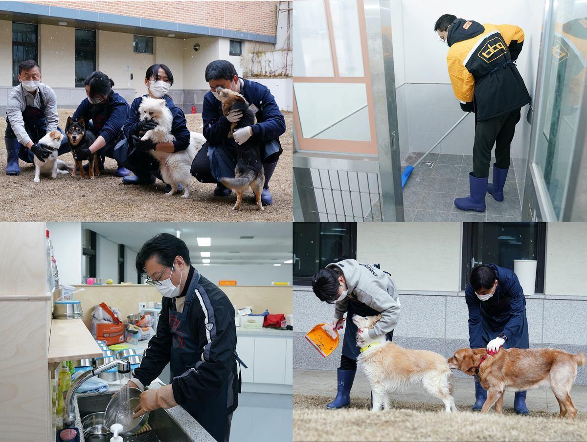 제너시스BBQ 그룹의 임직원들이 지난해 12월 경기도 여주시에 위치한 반려동물 테마파크를 방문해 견사 청소, 정비 작업 등 봉사활동을 하고 있다.&#40;제너시스BBQ 그룹 제공&#41;