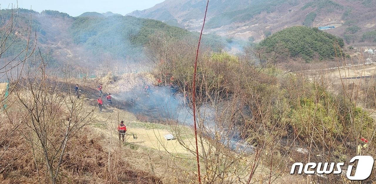 함양 산불&#40;신림청 제공&#41;. 2024.3.23