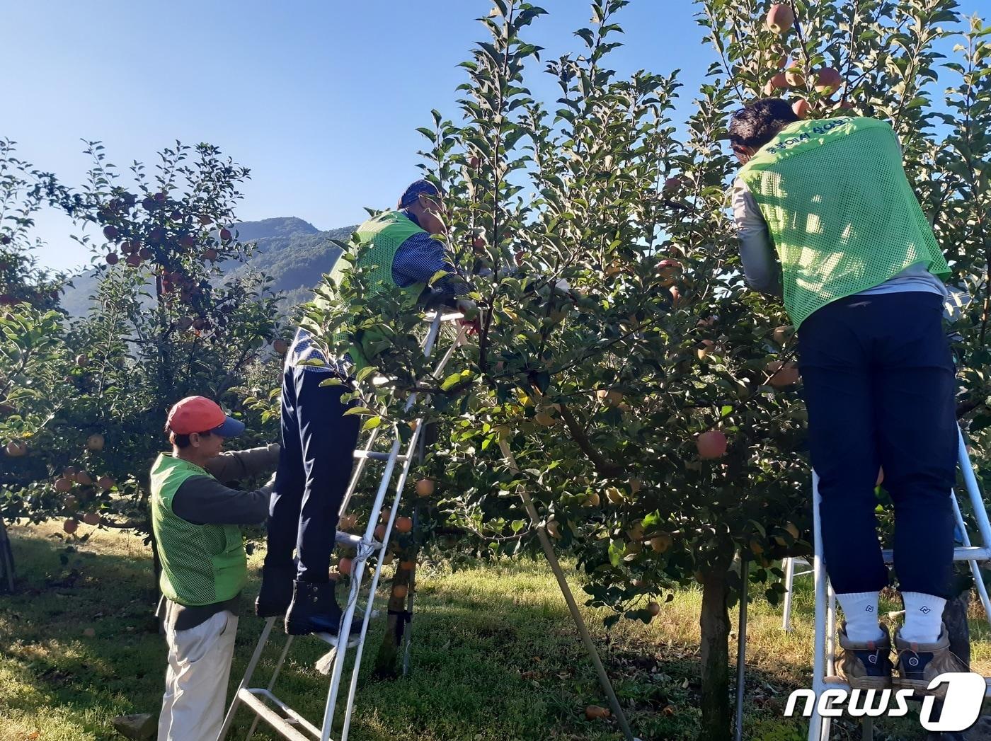 충북에서 살아보기 프로그램.&#40;괴산군 제공&#41;/뉴스1