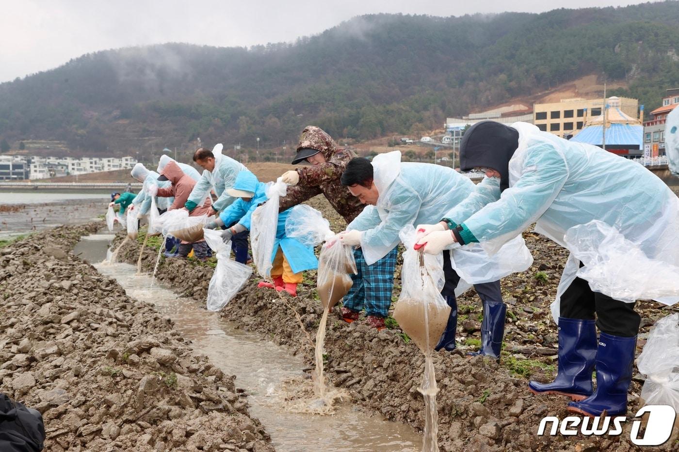 25일 경남 사천시와 실안어촌계 관계자들이 실안어촌계 마을어장에 개불 수산종자를 방류하고 있다.&#40;사천시 제공&#41;