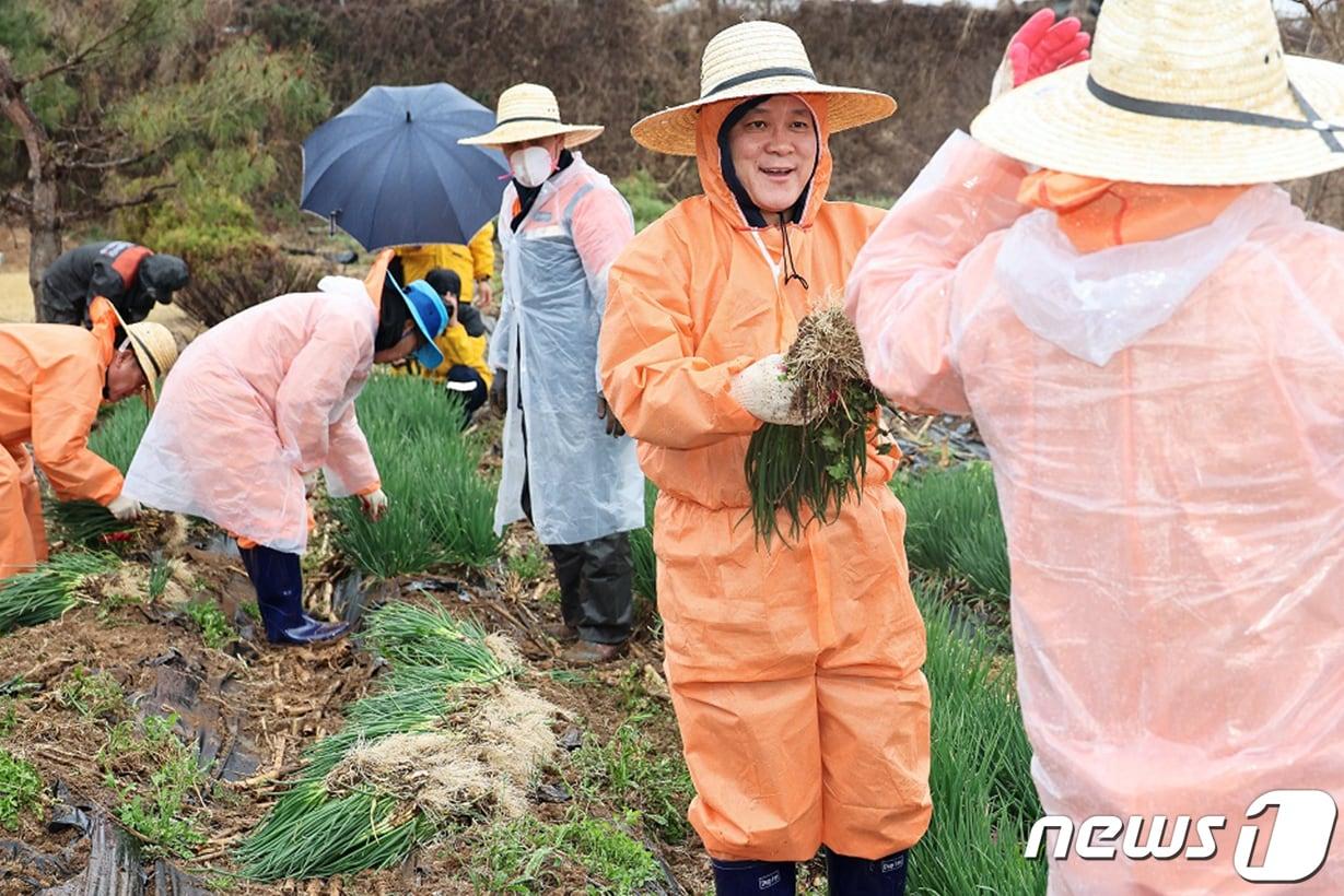 포스코 포항제철소 임직원들이 26일 농작물 수확 봉사 활동으로 이웃사랑을 전했다.&#40;포스코 포항제철소 제공&#41; 2024.3.27/뉴스1