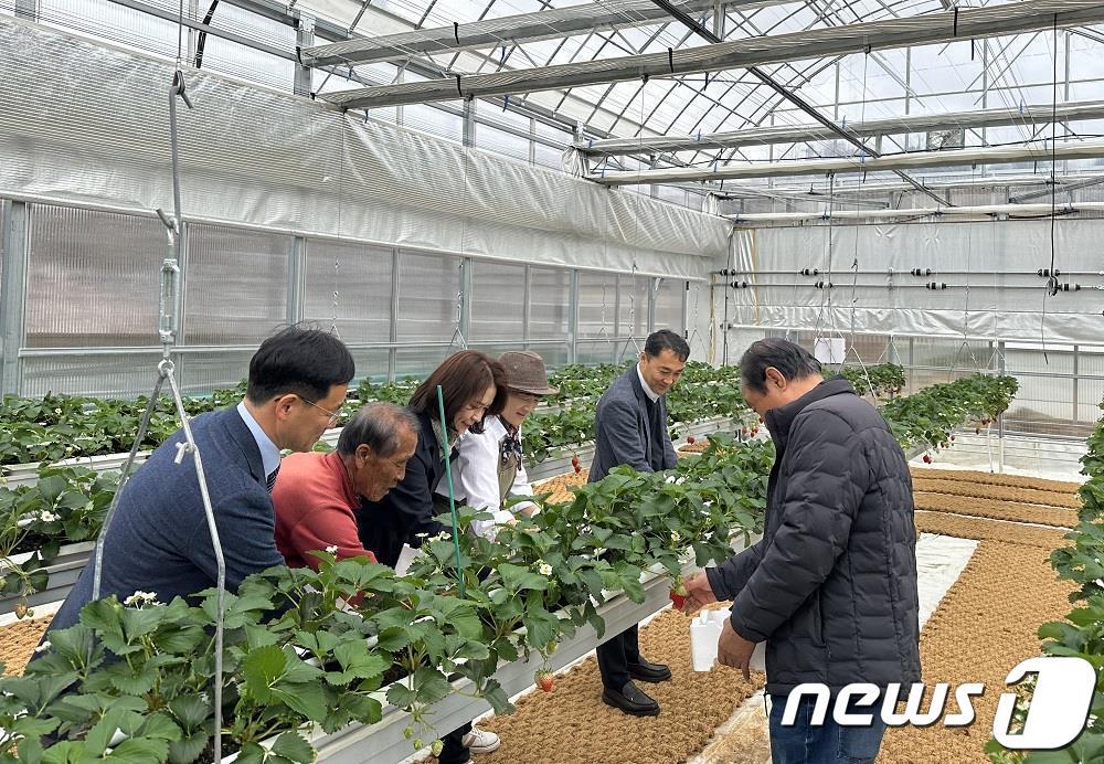 오은정 한국수자원공사 환경에너지본부장&#40;왼쪽 가운데&#41;과 주요 참석자들이 딸기를 수확하고 있다. &#40;맨 왼쪽부터&#41; 김수근 한국수자원공사 용담댐지사장, 한채희 보한마을 이장, 오 본부장, 백현진 한국농수산대학교 연구원, 방호희 한국수자원공사 물환경계획처 환경사업부장, 유철호 보안마을회 회장.  /뉴스1